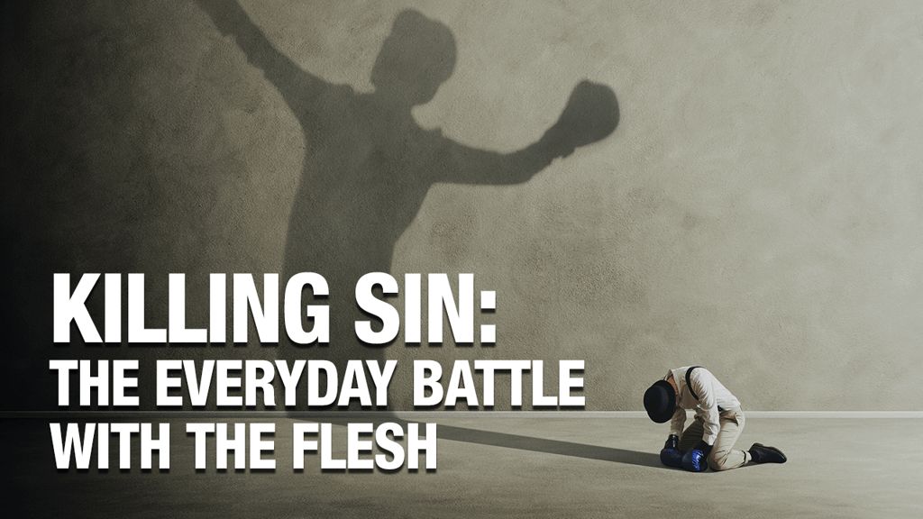Killing Sin The Everyday Battle with the Flesh Discipleship for